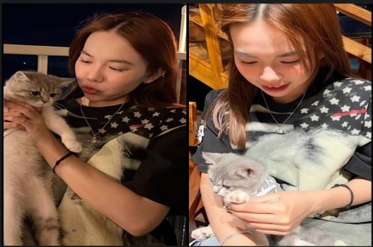 Phim sex Bảo Ngọc thích mèo và nuôi chim